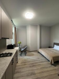 Покращена студія на Франка 1