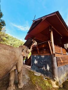 Elephant view terrace chiang mai บ้านระเบียงชมช้าง