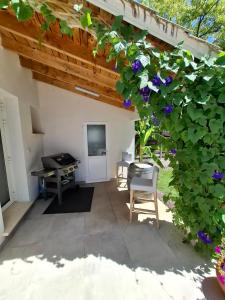 La maison sous les pins