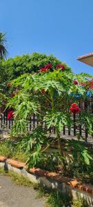 La mansardina sul mare - Mascali