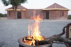 Jodhpur Farms - Farm Stay