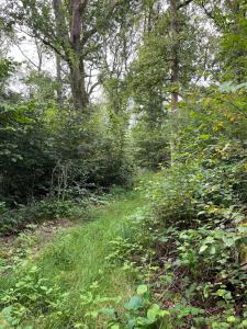 Hästgård Ekbacken Söderåsen