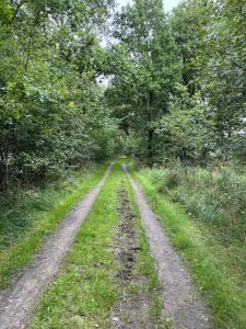 Hästgård Ekbacken Söderåsen
