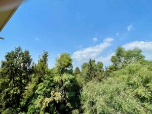 Colorful Apartment with Stunning Park View