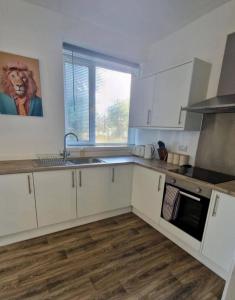 spacious 3 bed modern apartment