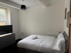 spacious 3 bed modern apartment