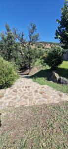 Villa Starlight vista mare La Caletta img23