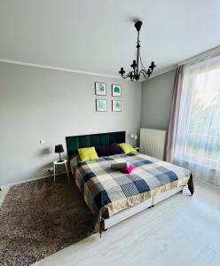 Charming studio Center of Krakow