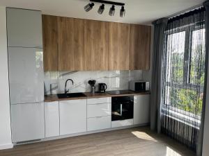 Modern Apartament near Kozminsky