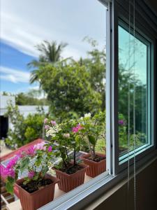 Moalboal LRS Lovers Nest