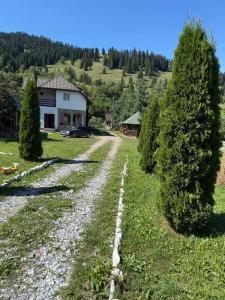 Pensiunea Margareta corp A, Ceahlau