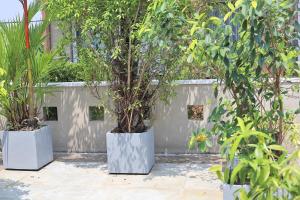 3 Bed Room Villa near Colombo