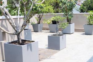 3 Bed Room Villa near Colombo