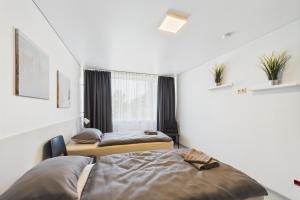 Modern Apartment in Aizkraukle