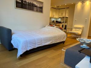 Grand Appartement confort 4 personnes Montmartre