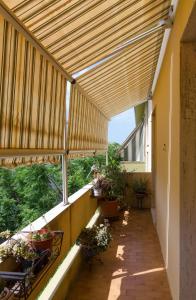 Sa Mama e Su Sole img50