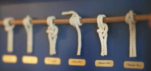 Am Ringwall 91 - Seelöwe B