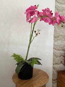 10 Min du Théatre antique à pied, sauna et fauteuil massant