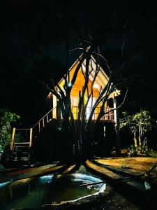 Kurulu Kele Family Tree House