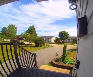 Cozy Basement Apartment in East Saint John