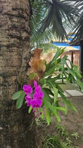 Casa Sonia&Rei em condo fechado, vista para o jardim