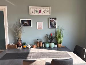 Pensiunea Pelicanilor