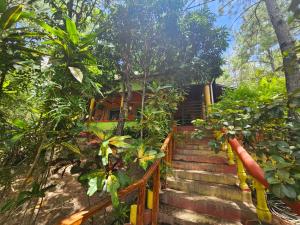 Casa de Campo La Trigue