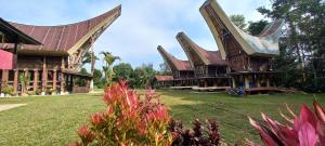 Toraja Homestay & Coffee Bunna