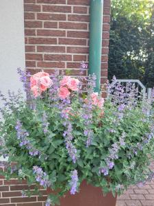 Heide Smile, Apartment