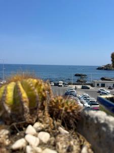 La Pietra di Trizca - House by the Sea