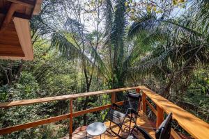 Samara Tarantela, Treehouse