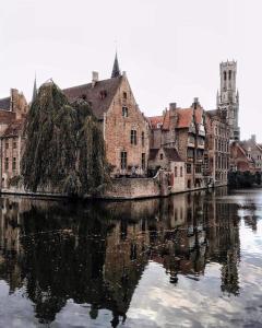cozy room in the heart of Bruges