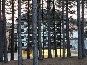 Apartman Prezident In