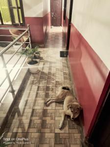 Hotel Baishnav, The Hub-Mugling