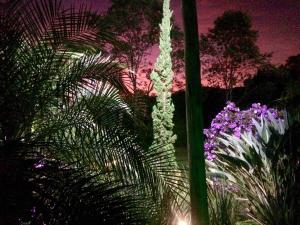 ambiente familiar, energia renovada, tranquilidade