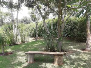 ambiente familiar, energia renovada, tranquilidade