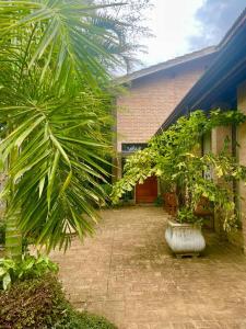 ambiente familiar, energia renovada, tranquilidade