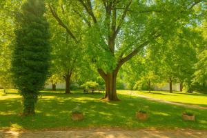 WILSON PREMIUM suites