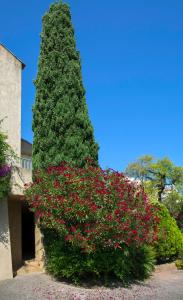 Appart'hotels Motel le Vieux Moulin : photos des chambres