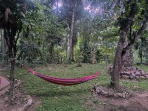 Miracle holiday home stay - Demodara