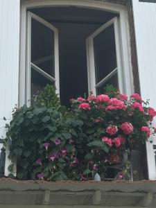 Suite cosy chez Marie