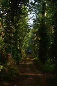 Pepper Nut Homestay
