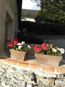 B&B / Chambres d'hotes Bergerie de Lagarrigue : photos des chambres