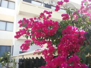 Esperides Hotel Lasithi Greece