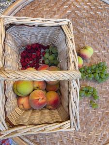 Manoir de LEchauguette