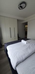 Silver Stays Lavington