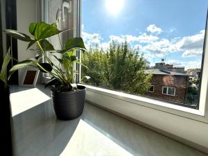 Zielony Apartament w Centrum- parking