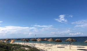 Appartement lumineux en bord de mer