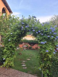 B&B Casa Piras IUN3880 img11