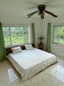 Modern mountain house